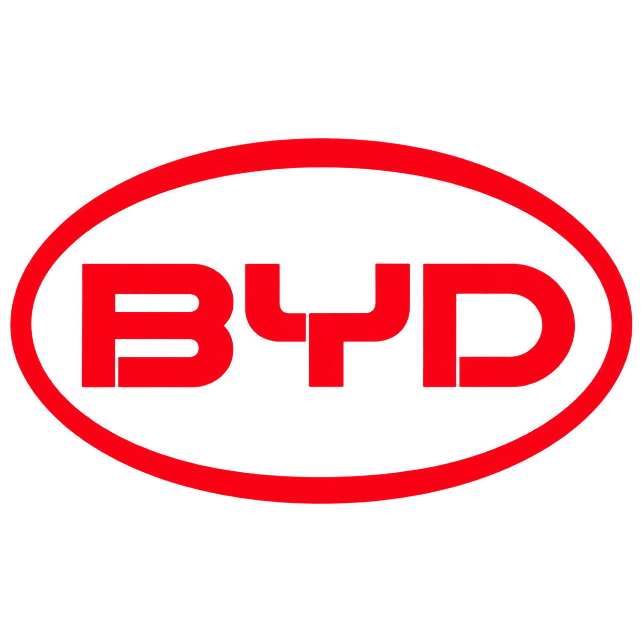 BYD car keys